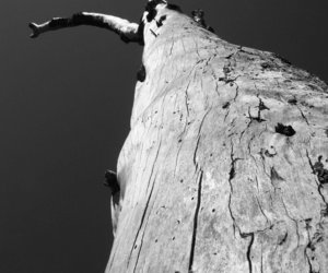 Fotografieklub se laastes